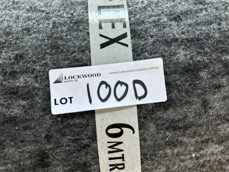 100d (1)