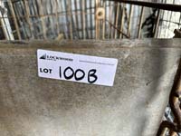 100b (1)