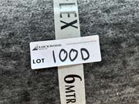 100d (1)